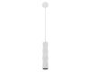 Подвесной светильник Arte Lamp Cassio A5400SP-1WH