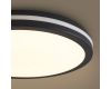 Потолочный светильник Freya Rua FR6160CL-L40B