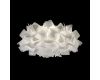 Потолочный светильник Loft IT Clizia 10595/530C White