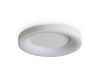 Потолочный светильник Freya Fit FR6157CL-L65W