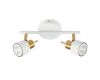 Спот Arte Lamp ALMACH A1906PL-2WH