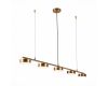 Подвесная светодиодная люстра ST Luce Pances SL6000.303.05