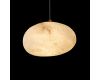 Подвесной светильник Loft IT Fionora 10531B