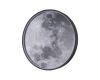 Настенно-потолочный светильник Escada Planet 10226/SG LED Moon