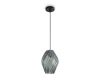 Подвесной светильник Freya Shiny FR5547PL-01DBL