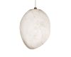 Подвесной светильник Loft IT Fionora 10531A
