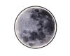 Настенно-потолочный светильник Escada Planet 10226/SG LED Moon