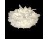 Потолочный светильник Loft IT Clizia 10594/780C White