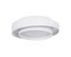 Потолочный светильник Freya Layer FR6085CL-L84W