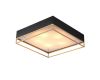 Накладная люстра ST-Luce SL1127.422.05