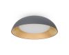 Потолочный светильник Freya Moonlight FR5277CL-L72GR