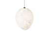 Подвесной светильник Loft IT Fionora 10531E