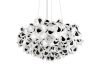 Подвесной светильник Loft IT Clizia 10595/780 Black