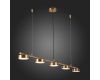 Подвесная светодиодная люстра ST Luce Pances SL6000.303.05