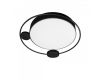 Потолочный светильник Loft IT Mike 10062