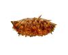 Потолочный светильник Loft IT Clizia 10593/780C Gold
