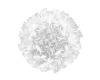 Потолочный светильник Loft IT Clizia 10594/780C White