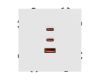 USB Розетка тип А+С+С софт-тач белый кварц Arlight SCT-MUACC-SFPL-FC-WH (65W, QC3) 061839(1)