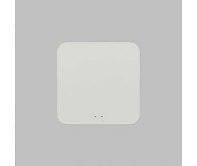 Купить Конвертер WiFi-Zigbee/BLE для умного дома Denkirs Zigbee Control DK7402-WF Конвертер WiFi-Zigbee/BLE для умного дома Denkirs Zigbee Control DK7402-WF