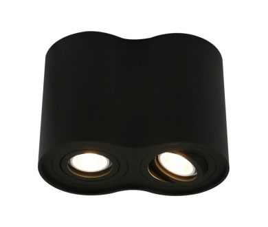 Купить Потолочный светильник Arte Lamp A5644PL-2BK Потолочный светильник Arte Lamp A5644PL-2BK
