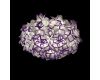 Потолочный светильник Loft IT Clizia 10231/780C Purple