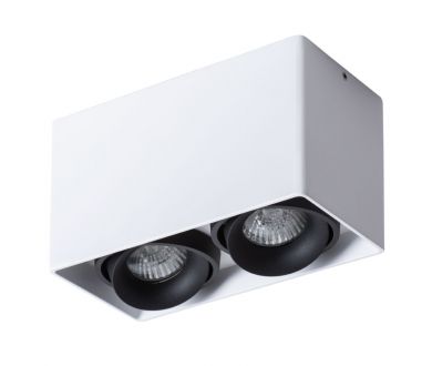 Купить Потолочный светильник Arte Lamp Pictor A5654PL-2WH Потолочный светильник Arte Lamp Pictor A5654PL-2WH