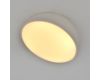 Потолочный светильник Escada 20025SMA/01LED WH