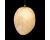 Подвесной светильник Loft IT Fionora 10531A