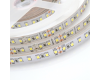 Светодиодная лента Apeyron 24В 10Вт/м smd3528, 120д/м IP20 900Лм/м 5м 6500К 00-332