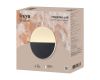 Настенный светильник Freya Market FR6199WL-L4B