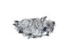 Потолочный светильник Loft IT Clizia 10593/530C Silver