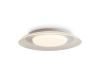 Потолочный светильник Freya Asta FR6151CL-L69W