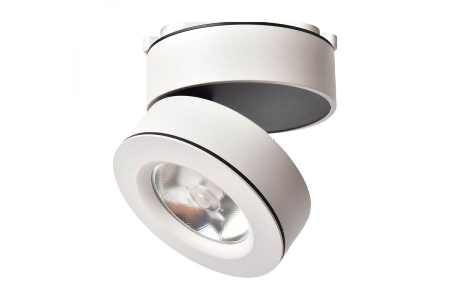 Светодиодный спот Arte Lamp A2511PL-1WH