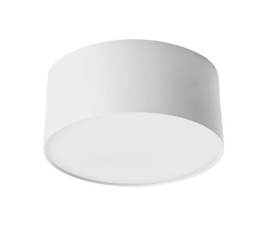 Купить Потолочный светодиодный светильник Feron Simple matte AL200 48076 Потолочный светодиодный светильник Feron Simple matte AL200 48076
