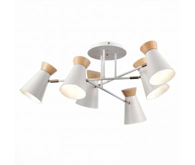 Купить Потолочная люстра Evoluce Alfeo SLE1252-502-06 Потолочная люстра Evoluce Alfeo SLE1252-502-06
