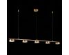 Подвесная светодиодная люстра ST Luce Pances SL6000.303.05
