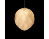 Подвесной светильник Loft IT Fionora 10531D