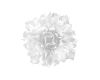 Подвесной светильник Loft IT Clizia 10594/530 White